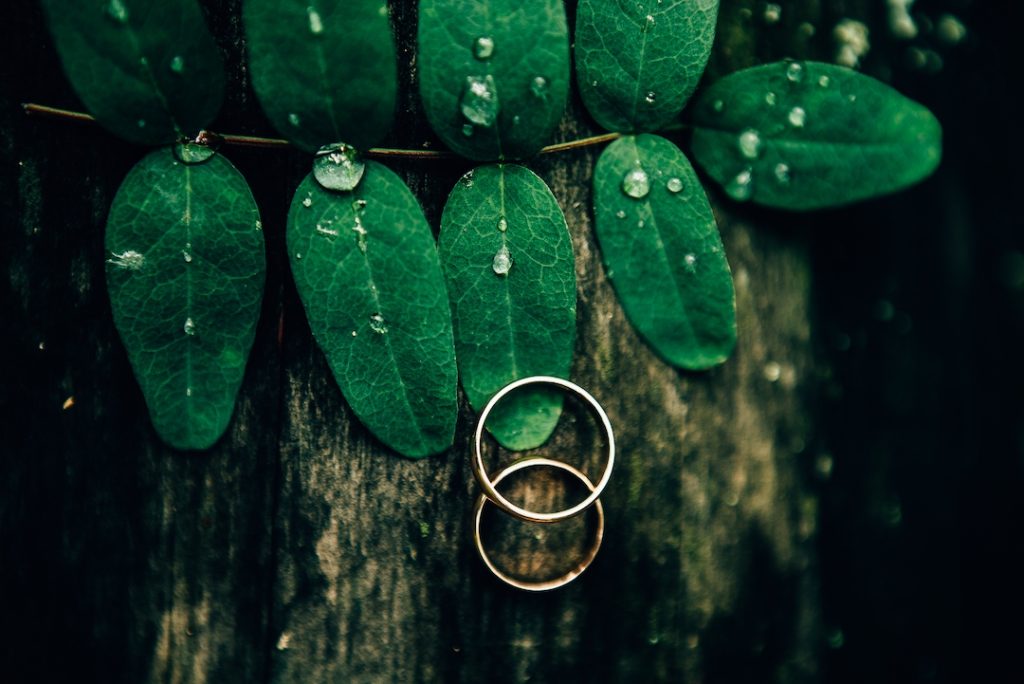 WEDDING RINGS ON GREEN LEAVES