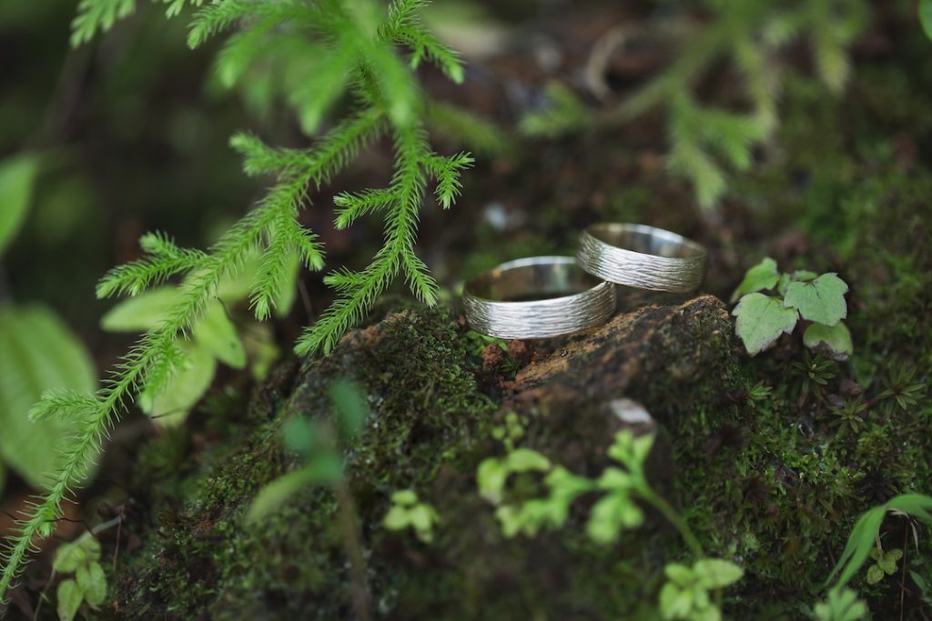 wedding rings on green moss in forest