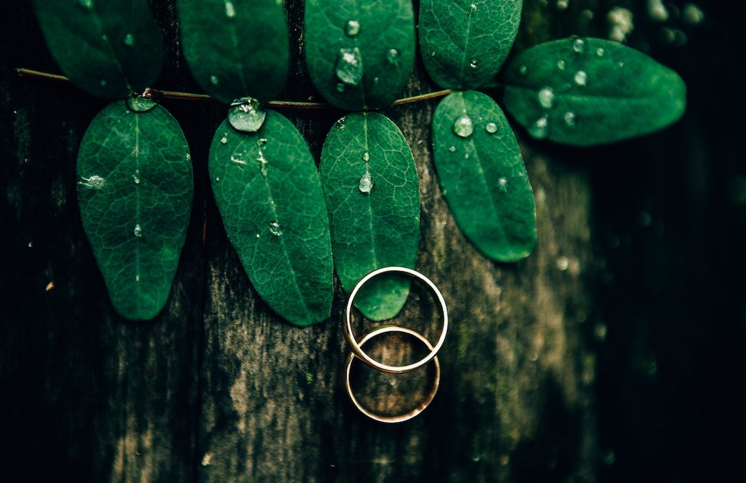 WEDDING RINGS ON GREEN LEAVES