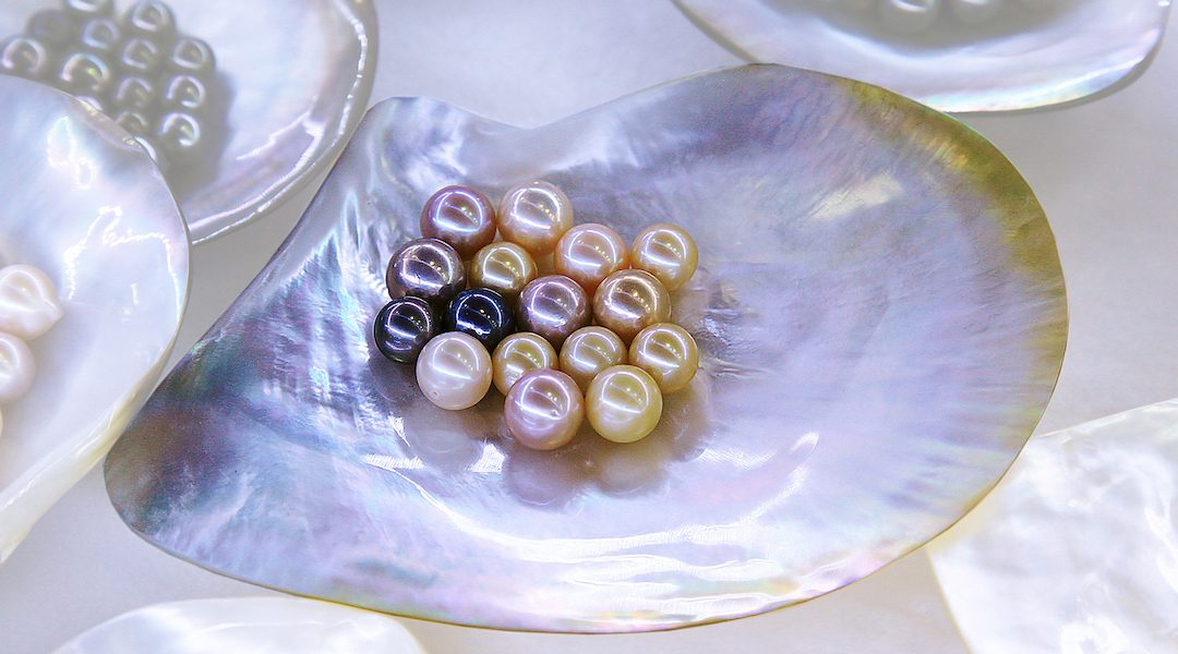 Large sea pearls on the background of mother-of-pearl shell